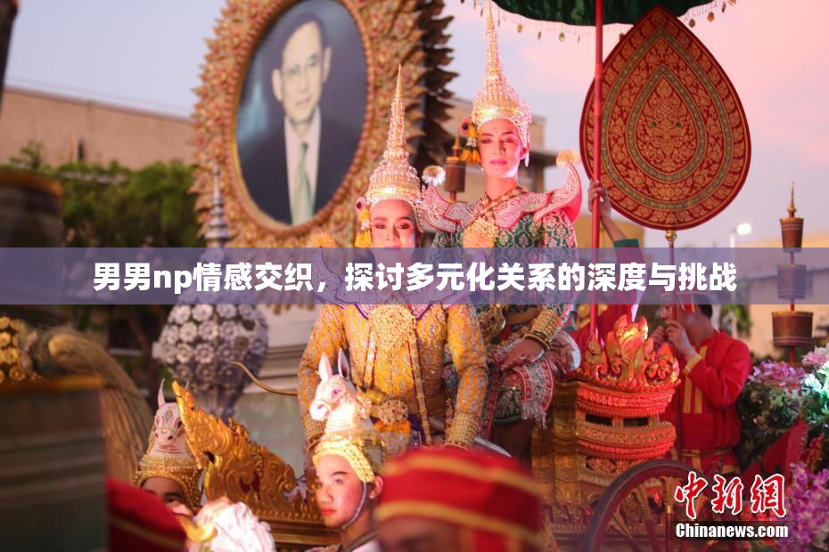 男男np情感交织，探讨多元化关系的深度与挑战