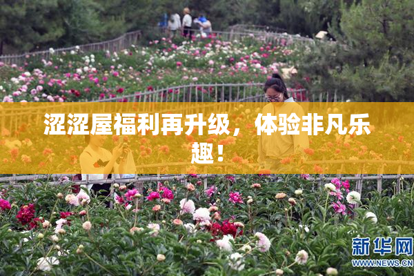 涩涩屋福利再升级，体验非凡乐趣！