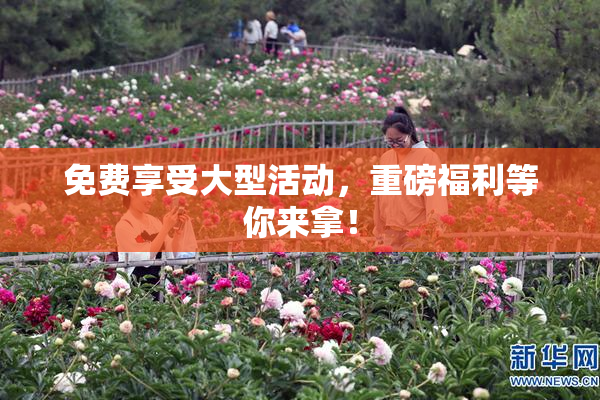 免费享受大型活动，重磅福利等你来拿！