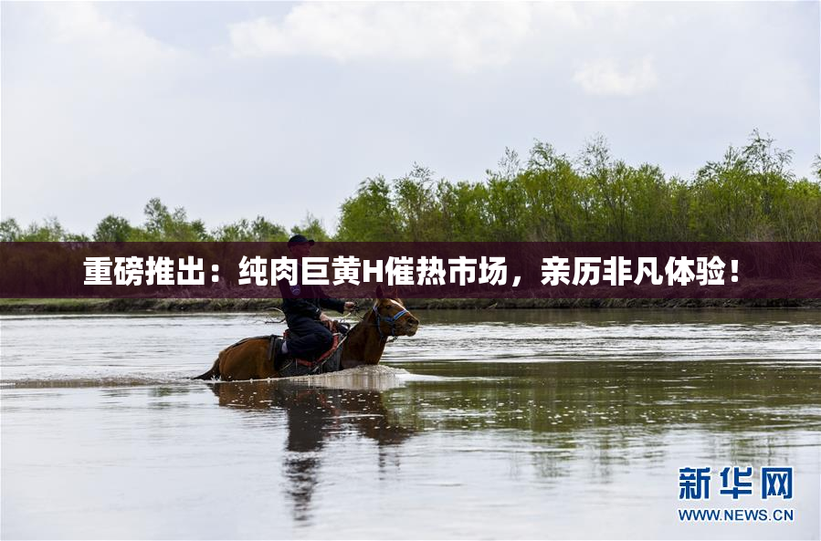 重磅推出：纯肉巨黄H催热市场，亲历非凡体验！
