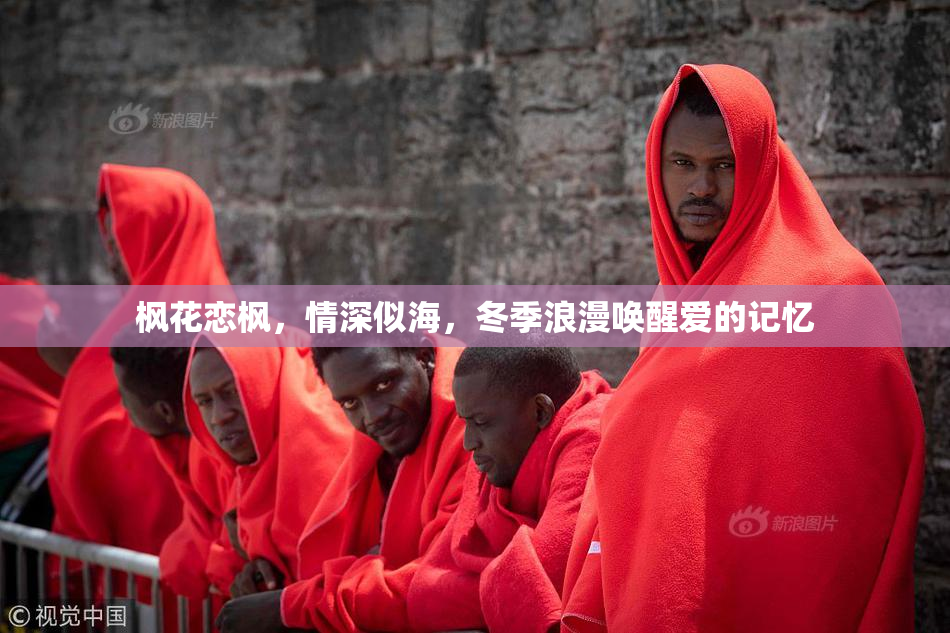 枫花恋枫，情深似海，冬季浪漫唤醒爱的记忆