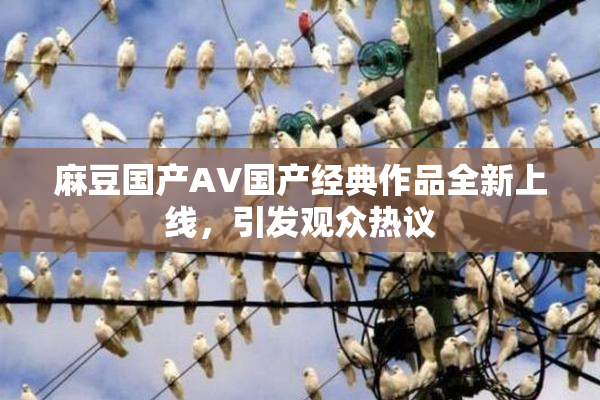 麻豆国产AV国产经典作品全新上线，引发观众热议