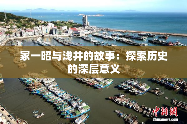 冢一昭与浅井的故事：探索历史的深层意义