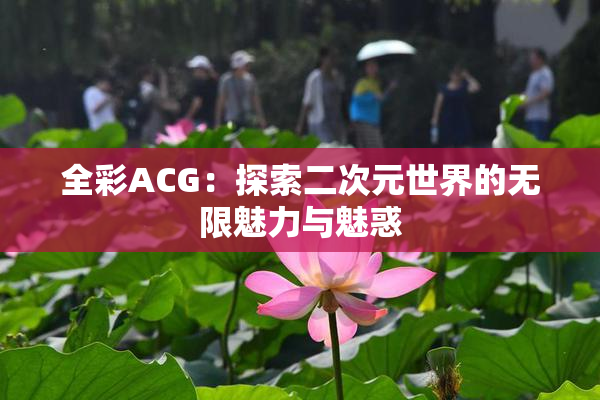 全彩ACG：探索二次元世界的无限魅力与魅惑