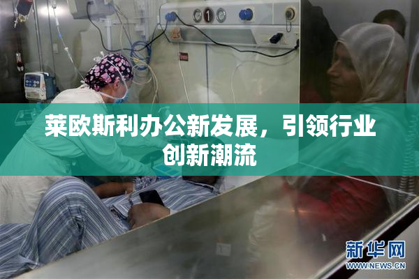 莱欧斯利办公新发展，引领行业创新潮流