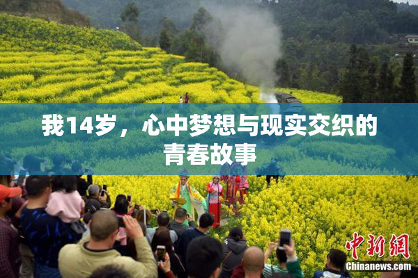 我14岁，心中梦想与现实交织的青春故事