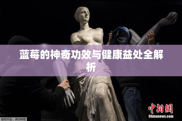 蓝莓的神奇功效与健康益处全解析