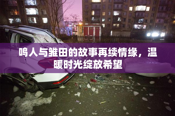 鸣人与雏田的故事再续情缘，温暖时光绽放希望