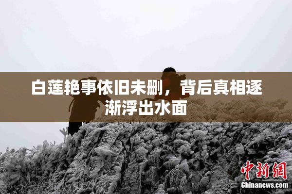 白莲艳事依旧未删，背后真相逐渐浮出水面