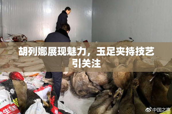 胡列娜展现魅力，玉足夹持技艺引关注
