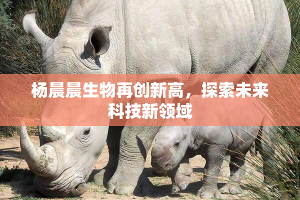 杨晨晨生物再创新高，探索未来科技新领域