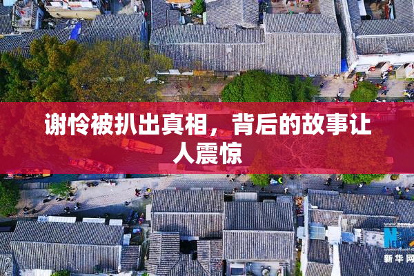 谢怜被扒出真相，背后的故事让人震惊