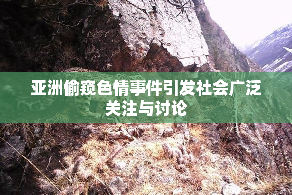亚洲偷窥色情事件引发社会广泛关注与讨论