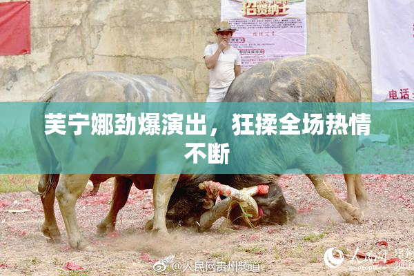 芙宁娜劲爆演出，狂揉全场热情不断