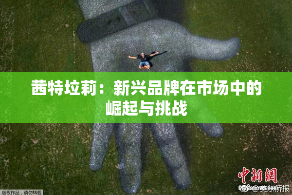 茜特垃莉：新兴品牌在市场中的崛起与挑战