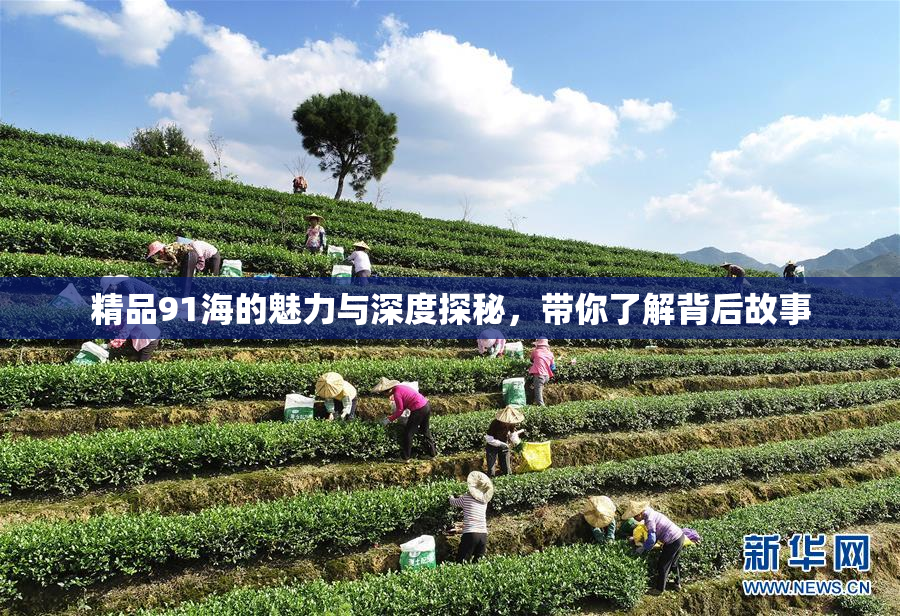 精品91海的魅力与深度探秘，带你了解背后故事