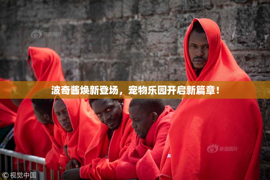 波奇酱焕新登场，宠物乐园开启新篇章！
