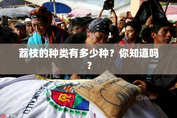 荔枝的种类有多少种？你知道吗？