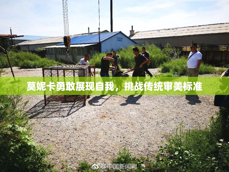 莫妮卡勇敢展现自我，挑战传统审美标准