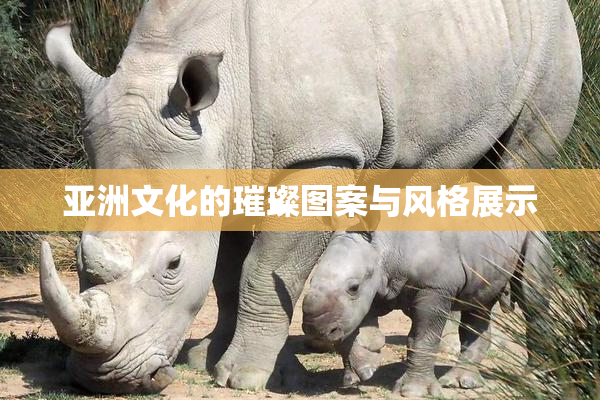亚洲文化的璀璨图案与风格展示