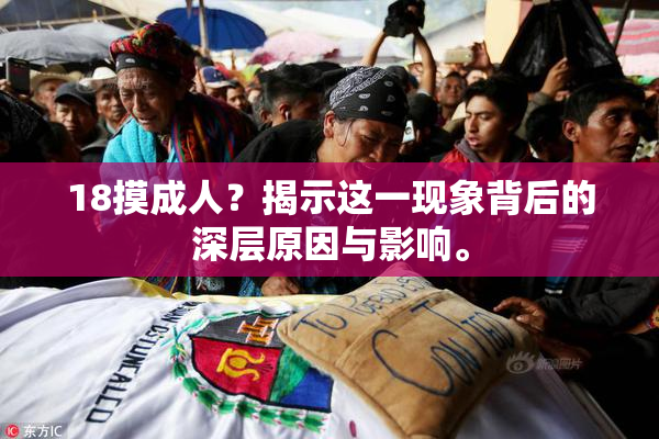 18摸成人？揭示这一现象背后的深层原因与影响。