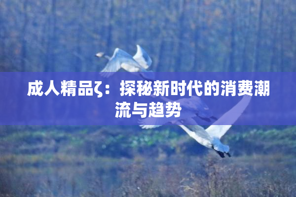成人精品ζ：探秘新时代的消费潮流与趋势
