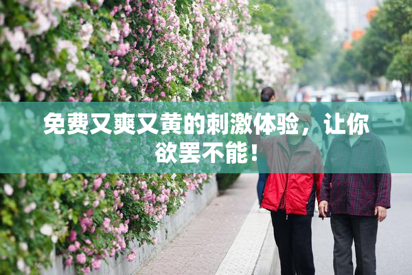 免费又爽又黄的刺激体验，让你欲罢不能！