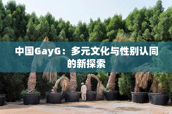 中国GayG：多元文化与性别认同的新探索