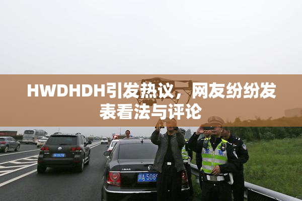 HWDHDH引发热议，网友纷纷发表看法与评论