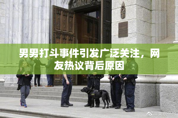 男男打斗事件引发广泛关注，网友热议背后原因