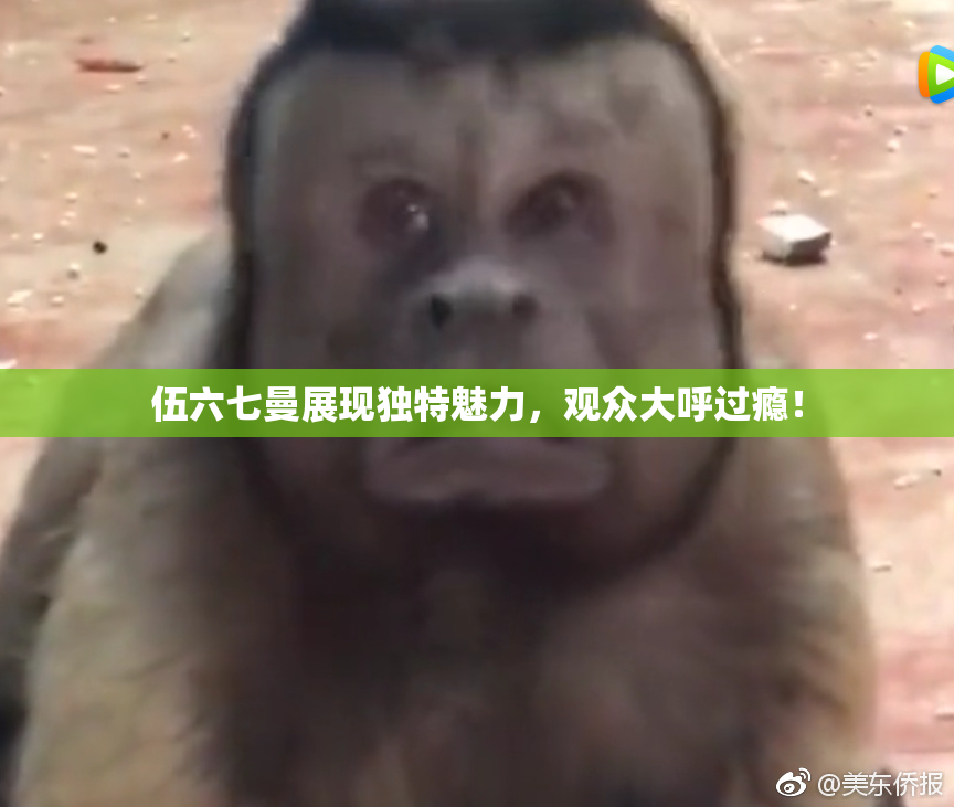 伍六七曼展现独特魅力，观众大呼过瘾！