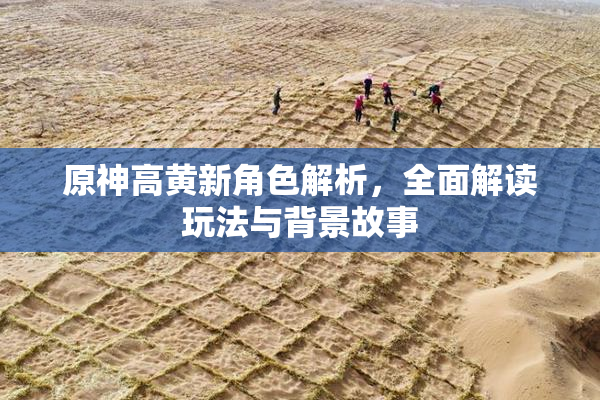 原神高黄新角色解析，全面解读玩法与背景故事