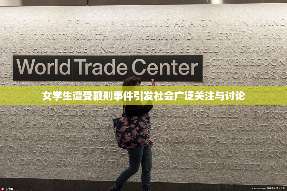 女学生遭受鞭刑事件引发社会广泛关注与讨论