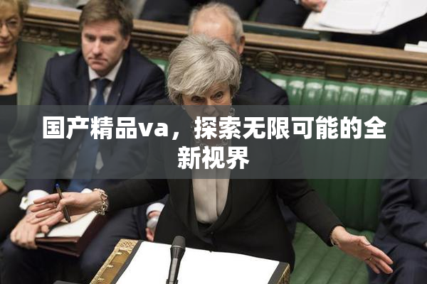 国产精品va，探索无限可能的全新视界