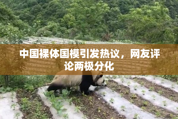 中国裸体国模引发热议，网友评论两极分化