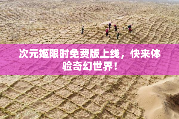 次元姬限时免费版上线，快来体验奇幻世界！
