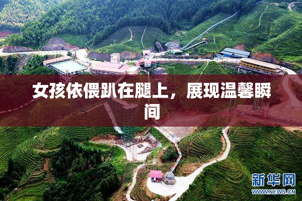 女孩依偎趴在腿上，展现温馨瞬间