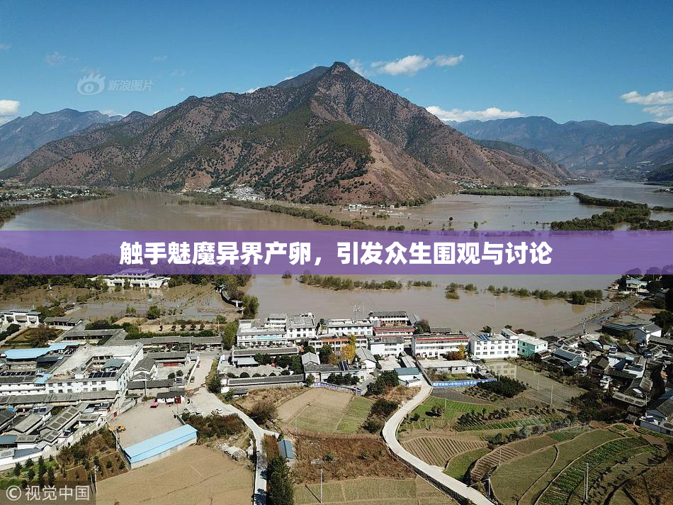 触手魅魔异界产卵，引发众生围观与讨论