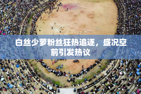 白丝少萝粉丝狂热追逐，盛况空前引发热议