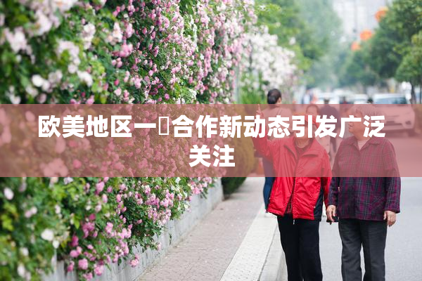 欧美地区一級合作新动态引发广泛关注