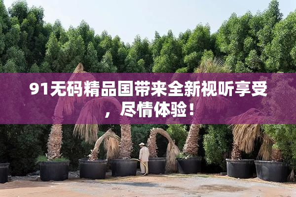 91无码精品国带来全新视听享受，尽情体验！