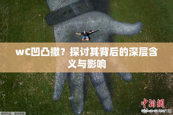 wC凹凸撒？探讨其背后的深层含义与影响