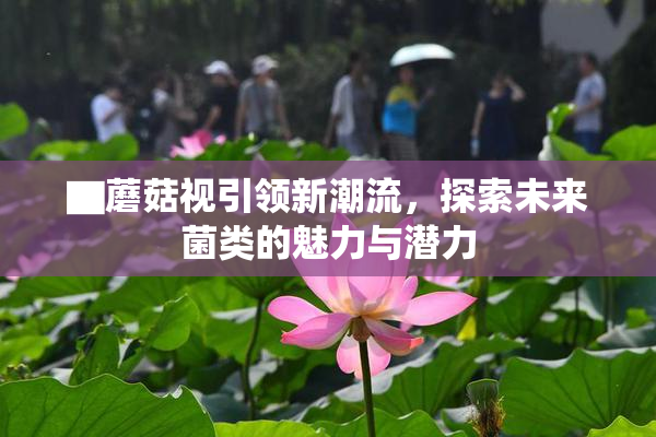 ▇蘑菇视引领新潮流，探索未来菌类的魅力与潜力