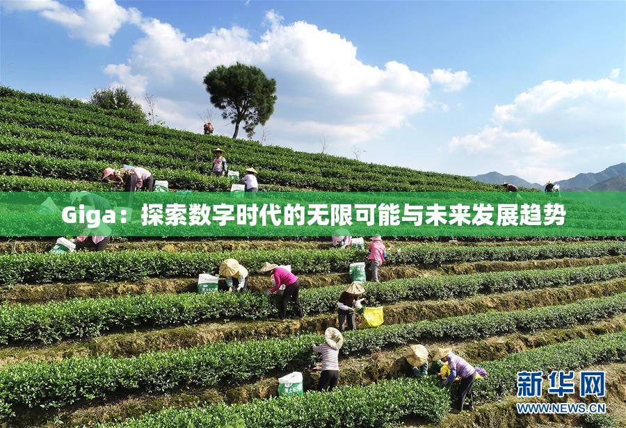 Giga：探索数字时代的无限可能与未来发展趋势
