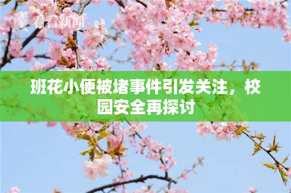 班花小便被堵事件引发关注，校园安全再探讨
