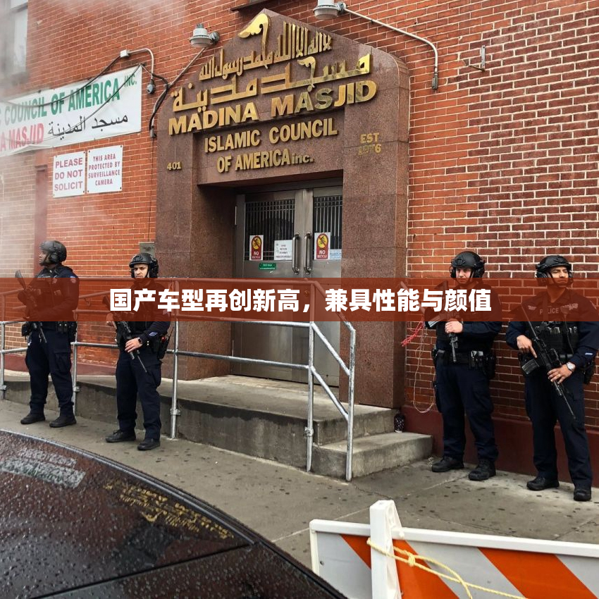 国产车型再创新高，兼具性能与颜值