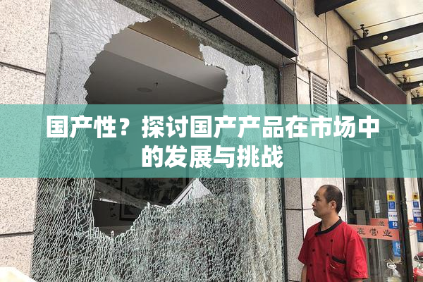 国产性？探讨国产产品在市场中的发展与挑战