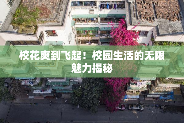 校花爽到飞起！校园生活的无限魅力揭秘