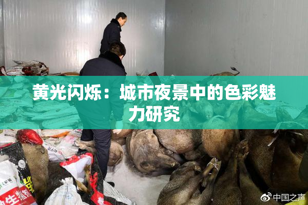 黄光闪烁：城市夜景中的色彩魅力研究