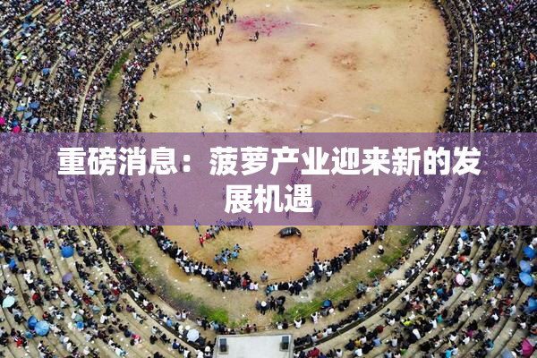 重磅消息：菠萝产业迎来新的发展机遇